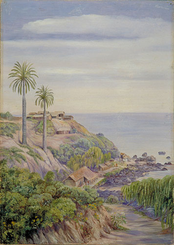 View of Concon, Chili, with its two Palms