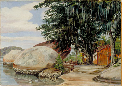 Boulders, Fisherman's Cottage and Tree hung with Air Plant, at Parquita, Brazil