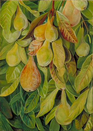 Cabazina Pears, Brazil