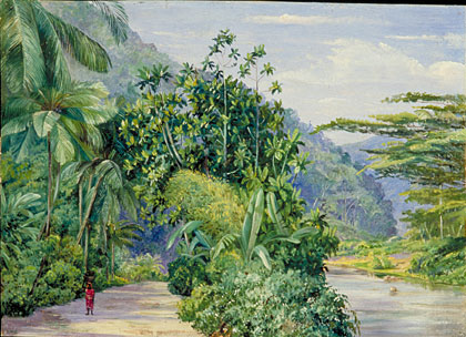 The Bog-walk, Jamaica with Bread Fruit, Banana, Cocoanut, and other trees