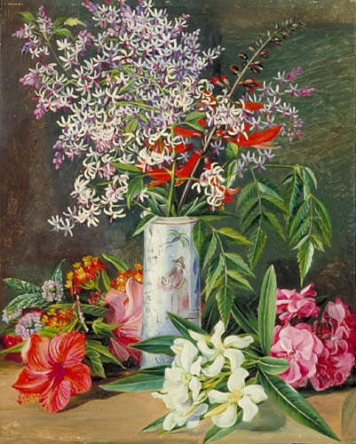 Selection of cultivated Flowers, painted in Jamaica