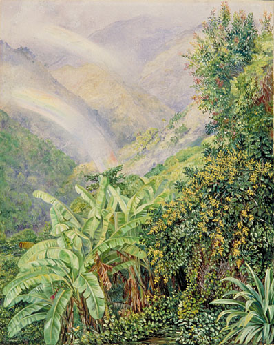 View of the Artist's House in Jamaica, with Double Rainbow