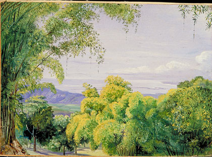 View over Port Royal, Jamaica, with Bamboos in the foreground