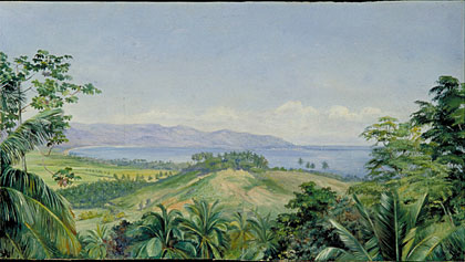 View from Spring Gardens, Buff's Bay, Jamaica