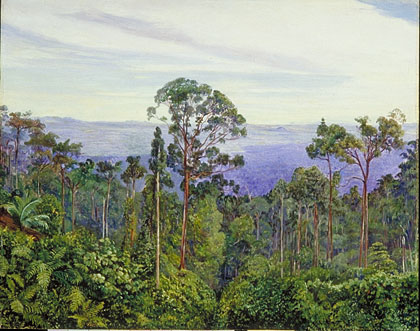 View of the Matang over the Great Swamp, Sarawak, Borneo
