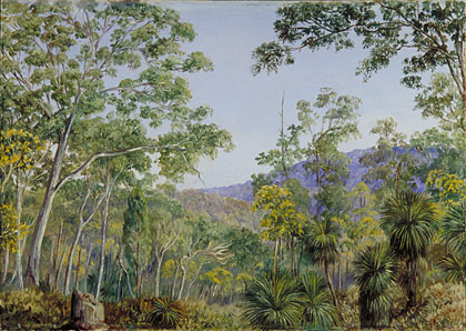 Gum-Trees, Grass-trees, and Wattles in a Queensland Forest