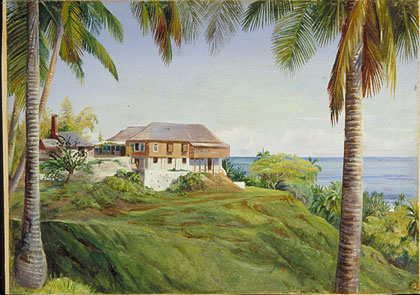 Spring Gardens, Jamaica, with its Cocoanut Palms
