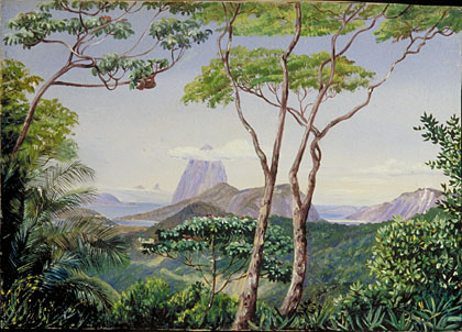 View of the Sugarloaf Mountain, from the Aqueduct Road, Rio Janeiro