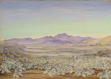 View of the Bell Mountain of Quillota, Chili, with colonised Cardoons in the foreground