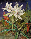 Night-Flowering Lily and Ferns, Jamaica