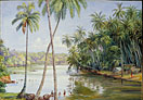 Cocoanut Palms on the River Bank near Galle, Ceylon