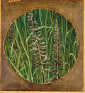 A sacred Grass